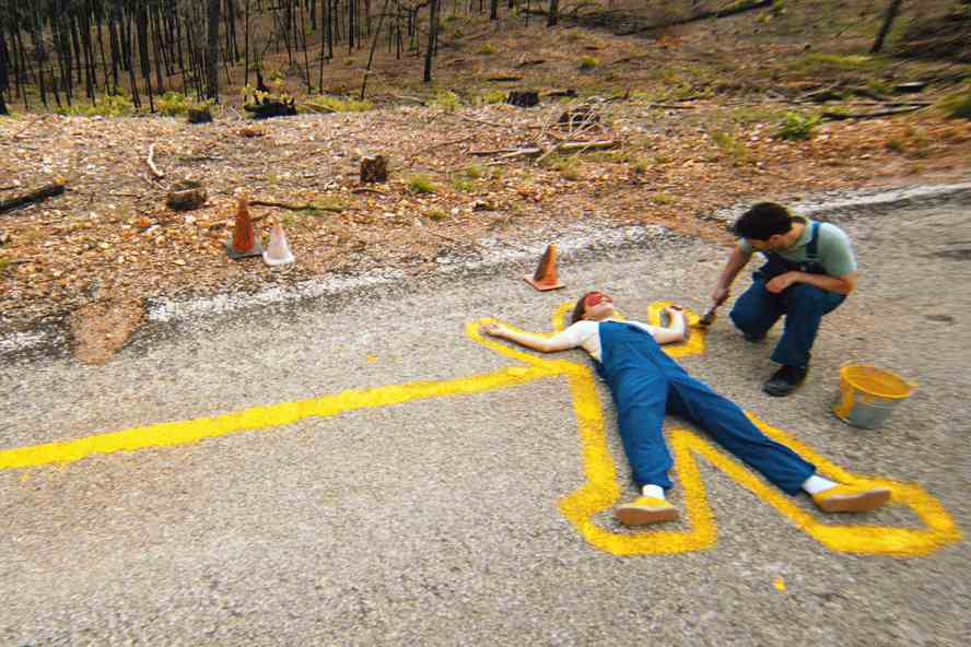 Emile Hirsch and Paul Rudd in Prince Avalanche