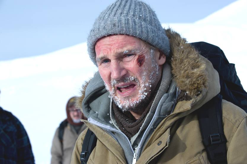 Liam Neeson in The Grey