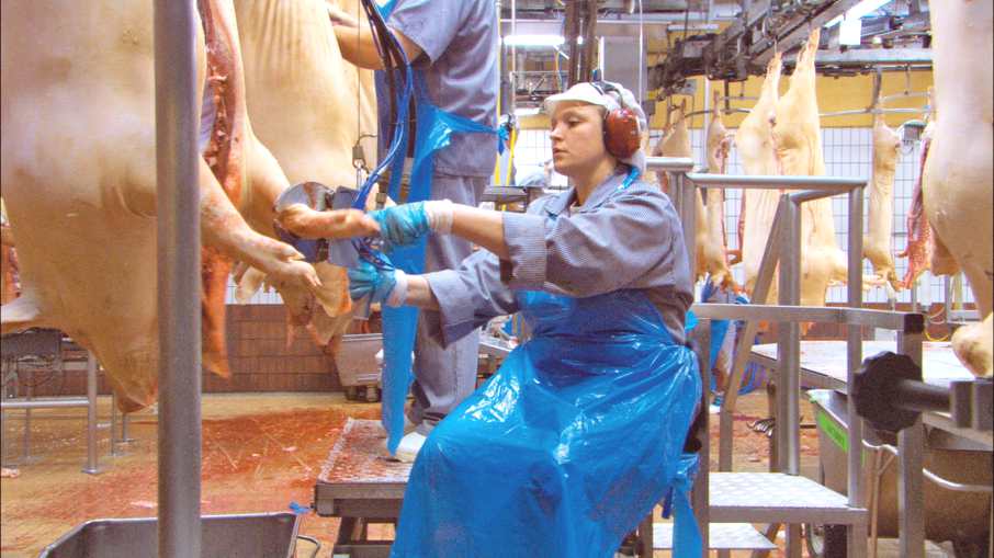 On the pig production line in Our Daily Bread