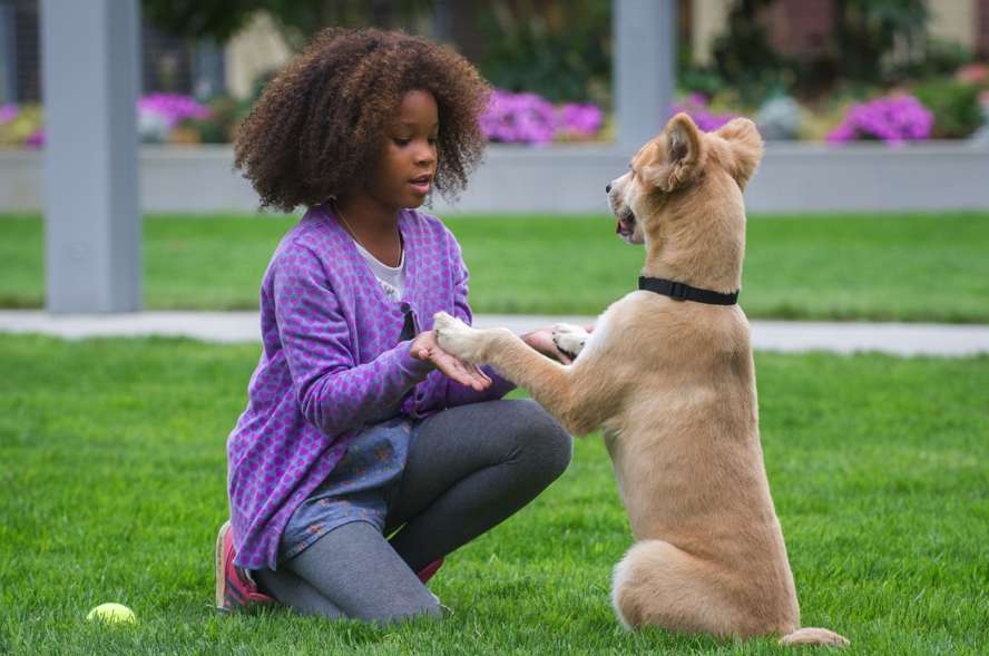 Quvenzhané Wallis and a cute dog