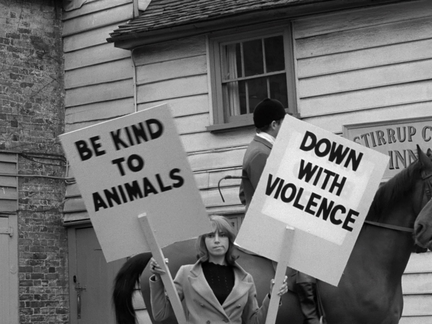 A protestor against blood sports